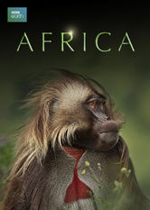 Kliknij by uszyskać więcej informacji | Netflix: Afryka | Ta piÄ™cioczÄ™Å›ciowa seria przyrodnicza jest zbiorem historii o przetrwaniu na kontynencie afrykaÅ„skim, który cechuje najbardziej zróÅ¼nicowana fauna na Å›wiecie.