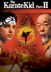 Kliknij by uszyskać więcej informacji | Netflix: Karate Kid II | Daniel iÂ jego nauczyciel sztuk walki, pan Miyagi, odwiedzajÄ… OkinawÄ™, gdzie mierzÄ… siÄ™ zÂ nowym przeciwnikiem iÂ dawnym wrogiem, ktÃ³ry chce wyrÃ³wnaÄ‡ stare porachunki.