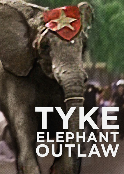 Netflix: Tyke Elephant Outlaw | <strong>Opis Netflix</strong><br> W 1994 roku w Honolulu cyrkowy sÅ‚oÅ„ zaatakowaÅ‚ i zabiÅ‚ swojego tresera, a potem biegaÅ‚ luzem po ulicach miasta. Dokument oparty na faktach. | Oglądaj film na Netflix.com