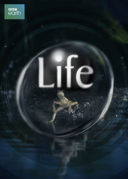 Netflix: Life | <strong>Opis Netflix</strong><br> Poznaj rÃ³Å¼norodnoÅ›Ä‡ Å¼ycia naÂ naszej planecie iÂ taktyki przetrwania wypracowane zarÃ³wno przez zwierzÄ™ta, jak iÂ roÅ›liny. | Oglądaj serial na Netflix.com