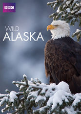 Netflix: Wild Alaska | <strong>Opis Netflix</strong><br> Bogactwo przyrody Alaski umożliwia wielu gatunkom przetrwanie w ekstremalnych warunkach pogodowych. Trzy pory roku obfitują w nagrody i wyzwania. | Oglądaj serial na Netflix.com