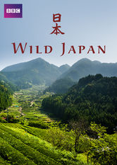 Netflix: Wild Japan | <strong>Opis Netflix</strong><br> Pomimo dużego zaludnienia, rozwoju przemysłu i mnogości klęsk żywiołowych, takich jak trzęsienia ziemi i tsunami, Japonia wciąż obfituje w skarby natury. | Oglądaj film na Netflix.com
