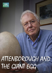 Kliknij by uszyskać więcej informacji | Netflix: Attenborough and The Giant Egg | David Attenborough powraca naÂ Madagaskar 50 lat poÂ odkryciu naÂ tej wyspie gigantycznego jaja, byÂ dowiedzieÄ‡ siÄ™ wiÄ™cej oÂ wymarÅ‚ym gatunku ptakÃ³w iÂ lokalnej faunie.