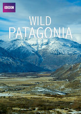 Kliknij by uszyskać więcej informacji | Netflix: Dzika Patagonia | Region Patagonii to surowa kombinacja gór, pustyÅ„ i wybrzeÅ¼y, jednak mimo to ta jaÅ‚owa kraina jest siedliskiem róÅ¼norodnych gatunków zwierzÄ…t.