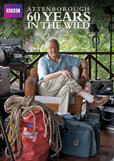 Netflix: Attenborough: 60 Years in the Wild | <strong>Opis Netflix</strong><br> Zobacz, jak produkcja filmów o przyrodzie, odkrycia i podejÅ›cie do naszej planety ewoluowaÅ‚y na przestrzeni ostatnich 60 lat. | Oglądaj serial na Netflix.com