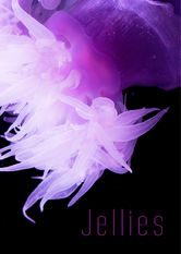 Netflix: Jellies | Twelve different species of jellyfish swim across your screen for the ideal relaxation or ambient entertainment backdrop. | Oglądaj film na Netflix.com
