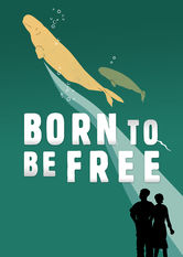 Kliknij by uszyskać więcej informacji | Netflix: Born to Be Free | Ten film dokumentalny opowiada oÂ ciÄ™Å¼kim losie 18 biaÅ‚uch od lat trzymanych wÂ niewoli iÂ zwraca uwagÄ™ widzÃ³w naÂ okrucieÅ„stwo, zÂ jakim ludzie traktujÄ… morskie ssaki.