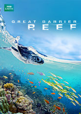 Kliknij by uszyskać więcej informacji | Netflix: Great Barrier Reef | Monty Halls, zawodowy nurek i biolog morski, przedstawia WielkÄ… RafÄ™ KoralowÄ… oraz jej zagroÅ¼onÄ… przyszÅ‚oÅ›Ä‡.