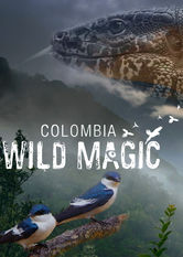 Kliknij by uszyskać więcej informacji | Netflix: Colombia: Wild Magic | Film dokumentalny przedstawiajÄ…cy zapierajÄ…ce dech w piersiach widoki i róÅ¼norodnÄ… przyrodÄ™ Kolumbii, oraz jej zachwycajÄ…cy, a zarazem niezwykle kruchy ekosystem.