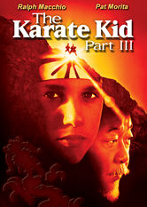 Kliknij by uszyskać więcej informacji | Netflix: Karate Kid III | Daniel LaRusso i pan Miyagi muszÄ… zmierzyÄ‡ siÄ™ z dawnym przeciwnikiem, zÅ‚owieszczym senseiem Cobra Kai, którego pokonali w pierwszej czÄ™Å›ci serii.