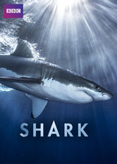 Netflix: Shark | <strong>Opis Netflix</strong><br> Seria filmów dokumentalnych ukazujących niesamowitą różnorodność oraz zdolności społeczne rekinów z całego świata, od Arktyki aż po strefę tropikalną. | Oglądaj serial na Netflix.com