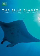 Kliknij by uszyskać więcej informacji | Netflix: The Blue Planet: A Natural History of the Oceans | David Attenborough prowadzi nas wÂ gÅ‚Ä™biny mÃ³rz iÂ oceanÃ³w, gdzie obserwujemy zarÃ³wno dobrze znane, jak iÂ caÅ‚kiem niezwykÅ‚e formy Å¼ycia.