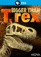 Kliknij by uszyskać więcej informacji | Netflix: NOVA: Bigger Than T. Rex | KoÅ›ci dinozaurów znalezione w skaÅ‚ach Maroka naprowadzajÄ… naukowców na trop nieuchwytnego i nieprawdopodobnego potwora znanego jako spinozaur.