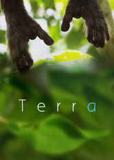 Netflix: Terra | <strong>Opis Netflix</strong><br> UjmujÄ…cy film dokumentalny o naszej relacji z innymi Å¼ywymi stworzeniami oraz o coraz wiÄ™kszej izolacji czÅ‚owieka od natury. | Oglądaj film na Netflix.com