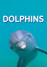 Kliknij by uszyskać więcej informacji | Netflix: Delfiny | Biolodzy morscy iÂ aktywiÅ›ci Å›ledzÄ… fascynujÄ…ce Å¼ycie spoÅ‚eczne iÂ intelektualne najbardziej podobnych doÂ czÅ‚owieka stworzeÅ„ morskich: delfinÃ³w.