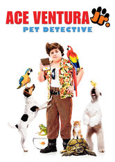 Kliknij by uszyskać więcej informacji | Netflix: Ace Ventura Pet Detective Jr. | Siódmoklasista Ace Ventura Junior jest psim detektywem — tak, jak jego ojciec. Gdy jego mama zostaje oskarÅ¼ona o kradzieÅ¼ pandy, mÅ‚ody rusza do akcji.