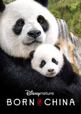 Netflix: Born in China | <strong>Opis Netflix</strong><br> Wybierz siÄ™ w podróÅ¼ po dzikich Chinach i zobacz, jak Å¼yjÄ… pandy wielkie i ich mÅ‚ode, rokselany zÅ‚ociste i pantera Å›nieÅ¼na, która wÅ‚aÅ›nie zostaÅ‚a matkÄ…. | Oglądaj film na Netflix.com
