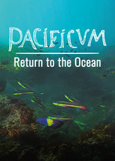 Netflix: Pacificum: Return to the Ocean | <strong>Opis Netflix</strong><br> Czwórka naukowców zabiera widzów we wnikliwą podróż po majestatycznym wybrzeżu Peru — lądem, wodą i powietrzem. | Oglądaj film na Netflix.com