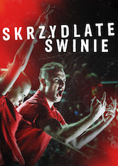 Netflix: Skrzydlate Świnie | <strong>Opis Netflix</strong><br> Gdy lokalny klub piÅ‚karski upada, jego najwierniejsi kibice stajÄ… przed szeregiem bolesnych wyzwaÅ„, a&nbsp;ich lojalnoÅ›Ä‡ zostaje wystawiona na&nbsp;wielkÄ… pr&oacute;bÄ™. | Oglądaj film na Netflix.com