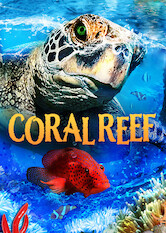 Kliknij by uszyskać więcej informacji | Netflix: FascynujÄ…ca rafa koralowa | This nature documentary takes a mesmerizing journey into the incredibly diverse marine life supported by coral reefs in the Indo-Pacific.
