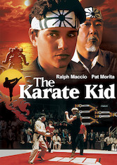 Kliknij by uszyskać więcej informacji | Netflix: Karate Kid | Gdy drÄ™czony przez rÃ³wieÅ›nikÃ³w nastoletni Daniel zaczyna pobieraÄ‡ nauki uÂ mistrza sztuk walki, poznaje nie tylko techniki samoobrony, lecz rÃ³wnieÅ¼ waÅ¼ne prawdy oÂ Å¼yciu.
