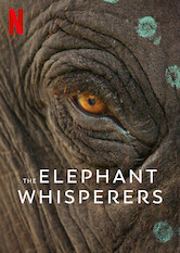 Kliknij by uszyskać więcej informacji | Netflix: Zaklinacze sÅ‚oni | Bomman iÂ Bellie zÂ poÅ‚udnia Indii poÅ›wiÄ™cajÄ… Å¼ycie opiece nad osieroconym sÅ‚oniÄ…tkiem oÂ imieniu Raghu, tworzÄ…c rodzinÄ™ jak Å¼adna inna.