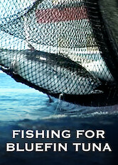 Kliknij by uszyskać więcej informacji | Netflix: Fishing for Bluefin Tuna | Through the testimony of fishers and marine experts, this documentary dives into the economic and environmental impact of bluefin tuna fishing.