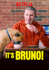 Kliknij by uszyskać więcej informacji | Netflix: It's Bruno! | Rodowity mieszkaniec Brooklynu caÅ‚ymi dniami opiekuje siÄ™ swoim ukochanym psem Brunem — a takÅ¼e dba, by sÄ…siedzi okazywali jego psiakowi naleÅ¼ny szacunek.