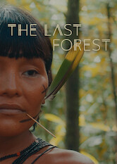 Kliknij by uszyskać więcej informacji | Netflix: The Last Forest | Mixing dramatization and documentary, this film depicts the Indigenous Yanomami tribe's way of life â€” and their struggle to preserve it.