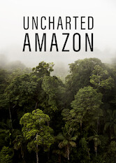 Kliknij by uszyskać więcej informacji | Netflix: Uncharted Amazon | Å»ycie wÂ najwiÄ™kszym lesie deszczowym Å›wiata stawia przed jego mieszkaÅ„cami wiele wyzwaÅ„, od drapieÅ¼nikÃ³w iÂ sezonowych ulew poÂ wycinkÄ™ drzew iÂ zmiany klimatu.