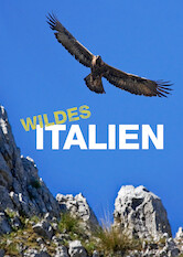 Kliknij by uszyskać więcej informacji | Netflix: Dzika Italia | Ten dwuczęściowy dokument pokazuje dziką przyrodę Włoch — od różowych flamingów i koziorożców alpejskich na północy po dzikie konie i gigantyczne rekiny na południu.
