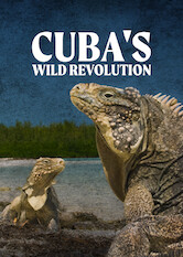 Kliknij by uszyskać więcej informacji | Netflix: Cuba's Wild Revolution | Na Kubie Å¼Ã³Å‚wie zakÅ‚adajÄ… gniazda, iguany siÄ™ rozmnaÅ¼ajÄ…, aÂ krokodyle skaczÄ…. Czy zmiany wÂ stosunkach zÂ zagranicÄ… nie zaszkodzÄ… cudom przyrody, wÂ ktÃ³re obfituje wyspa?