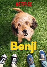 Kliknij by uszyskać więcej informacji | Netflix: Benji | Rezolutny pies przychodzi z pomocÄ… rozbitej rodzinie, gdy pewien chÅ‚opiec i jego siostra wpadajÄ… w nie lada tarapaty.