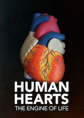 Kliknij by uszyskać więcej informacji | Netflix: Human Hearts: The Engine of Life | Tematem tego programu dokumentalnego sÄ… rewolucyjne postÄ™py wÂ dziedzinie kardiologii, ktÃ³re pewnego dnia mogÄ… sprawiÄ‡, Å¼e serce bÄ™dzie zdolne doÂ samoregeneracji.