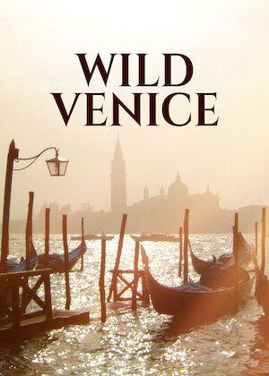 Netflix: Wild Venice | <strong>Opis Netflix</strong><br> Odkryj mniej znaną, naturalną stronę Wenecji. Mało kto wie, że w rafach koralowych kryją się tam zaskakujące stworzenia, a ukryte ogrody zamieszkują jadowite ssaki. | Oglądaj film na Netflix.com