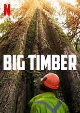 Kliknij by uszyskać więcej informacji | Netflix: Drwal zÂ Vancouver Island | Na wyspie Vancouver pragmatyczny drwal iÂ jego oddana ekipa walczÄ… zÂ bezlitosnymi Å¼ywioÅ‚ami iÂ skomplikowanymi maszynami podczas wyrÄ™bu oraz transportu cennego drewna.