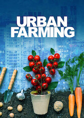 Kliknij by uszyskać więcej informacji | Netflix: Urban Farming | Pomidory zÂ balkonu, bazylia zÂ parapetu iÂ grzyby zÂ piwnicy. Dokument ukazujÄ…cy zalety iÂ wady miejskich upraw.