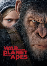 Kliknij by uszyskać więcej informacji | Netflix: Wojna o planetę małp | Wiele lat po epidemii śmiercionośnego wirusa, który wybił większość ludzkości, społeczność inteligentnych małp walczy o przetrwanie z armią żądnych zemsty żołnierzy.