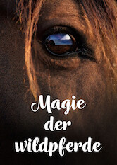 Kliknij by uszyskać więcej informacji | Netflix: Magia dzikich koni | This documentary explores the challenges facing wild horses around the world and the efforts being made to preserve their existence.
