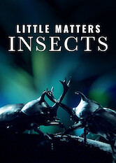 Kliknij by uszyskać więcej informacji | Netflix: Little Matters: Insects | Dokument przybliÅ¼ajÄ…cy niezwykÅ‚y Å›wiat najdrobniejszych zwierzÄ…t â€“ od pomysÅ‚owych puÅ‚apek Å‚owieckich poÂ niezwykÅ‚e metamorfozy.