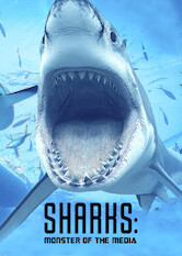 Kliknij by uszyskać więcej informacji | Netflix: Rekiny: Potwory wykreowane przez media | Feared as killers, sharks are the ocean's most misunderstood creatures. This documentary tells their true story â€” and examines the dangers they face.