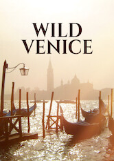 Kliknij by uszyskać więcej informacji | Netflix: Wild Venice | Odkryj mniej znaną, naturalną stronę Wenecji. Mało kto wie, że w rafach koralowych kryją się tam zaskakujące stworzenia, a ukryte ogrody zamieszkują jadowite ssaki.