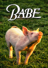 Kliknij by uszyskać więcej informacji | Netflix: Babe â€“ Å›winka zÂ klasÄ… | WyreÅ¼yserowany przez Chrisa Noonana film oÂ rezolutnej Å›wince Babe, ktÃ³ra pragnie dorÃ³wnaÄ‡ psom pasterskim iÂ zostaÄ‡ opiekunem stada owiec, podbiÅ‚ serca widzÃ³w iÂ krytykÃ³w.