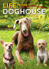 Netflix: Life in the Doghouse | <strong>Opis Netflix</strong><br> Danny i Ron prowadzÄ… schronisko dla psów we wÅ‚asnym domu. MajÄ… juÅ¼... 10 000 czworonoÅ¼nych podopiecznych. | Oglądaj film na Netflix.com
