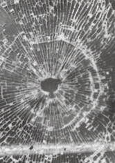 Kliknij by uszyskać więcej informacji | Netflix: Potwory zÂ Florencji | W latach 70. iÂ 80. seryjny morderca zabiÅ‚ osiem mÅ‚odych par wÂ okolicach Florencji. Ten film dokumentalny opowiada historiÄ™ wieloletniego Å›ledztwa policji.