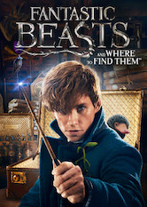 Netflix: Fantastic Beasts and Where To Find Them | <strong>Opis Netflix</strong><br> Nowy Jork, rok 1926. OdwaÅ¼ny iÂ ekscentryczny czarodziej Newt Skamander odkrywa przeraÅ¼ajÄ…cy spisek, ktÃ³ry zagraÅ¼a Å›wiatu czarodziejÃ³w. | Oglądaj film na Netflix.com