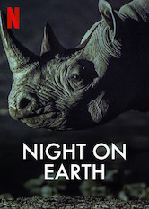 Netflix: Night on Earth | <strong>Opis Netflix</strong><br> DziÄ™ki zastosowaniu nowej technologii twÃ³rcy tego serialu przyrodniczego unoszÄ… zasÅ‚onÄ™ nocy, odsÅ‚aniajÄ…c ukryte Å¼ycie natury â€” od polujÄ…cych lwÃ³w poÂ latajÄ…ce nietoperze. | Oglądaj serial na Netflix.com