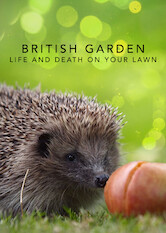 Kliknij by uszyskać więcej informacji | Netflix: British Garden: Life and Death on Your Lawn | Wildlife experts observe a series of suburban gardens over the course of a year, unearthing the secret lives and daily dramas of the smallest residents.