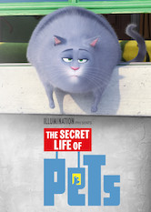 Kliknij by uszyskać więcej informacji | Netflix: Sekretne Å¼ycie zwierzakÃ³w domowych | Dwa skÅ‚Ã³cone psy muszÄ… dojÅ›Ä‡ doÂ porozumienia, byÂ rozpracowaÄ‡ szajkÄ™ wÅ›ciekÅ‚ych zwierzakÃ³w planujÄ…cych zemstÄ™ naÂ ludzkoÅ›ci.