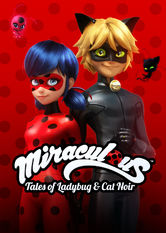 Kliknij by uszyskać więcej informacji | Netflix: Miraculous: Biedronka i Czarny Kot | Kiedy Paryżowi grozi niebezpieczeństwo, Marinette zamienia się w Biedronkę. Jednak nie wie, że Adrien, jej szkolna miłość, też jest superbohaterem o imieniu Czarny Kot.